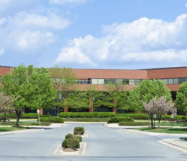 Completed tree service projects across Chicago's western suburbs
