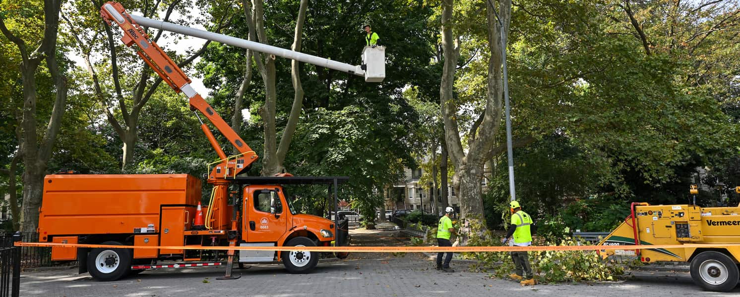 Full lot clearing service